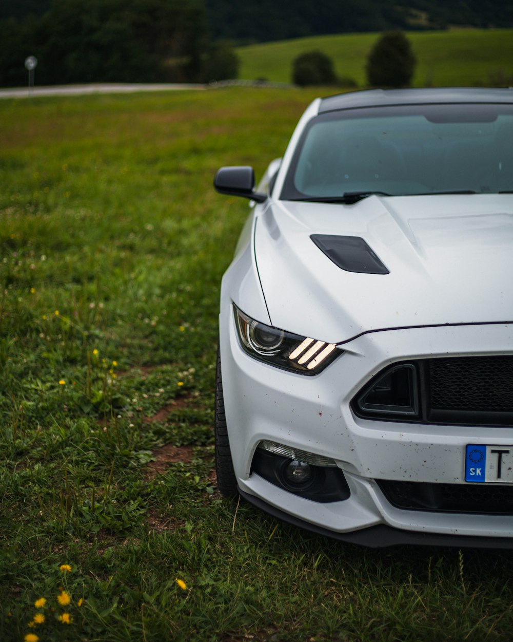 the front of a white car parked on a lush green field