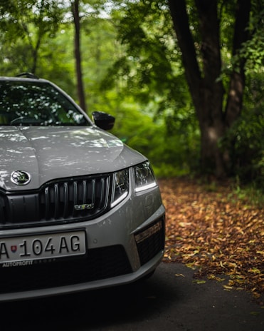 A white car is parked on a road covered with fallen leaves, surrounded by lush green trees. The car's headlights are on, and its license plate is visible.