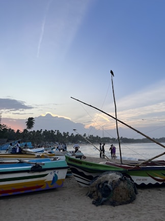 Sunset over the palm-lined beaches of Ouidah, with fishermen preparing their boats
