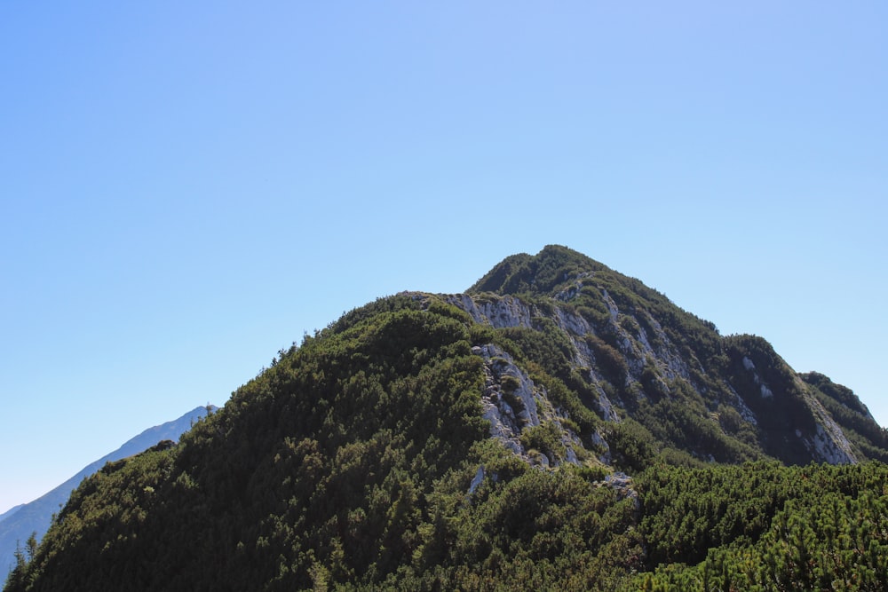 a very tall mountain covered in lots of trees