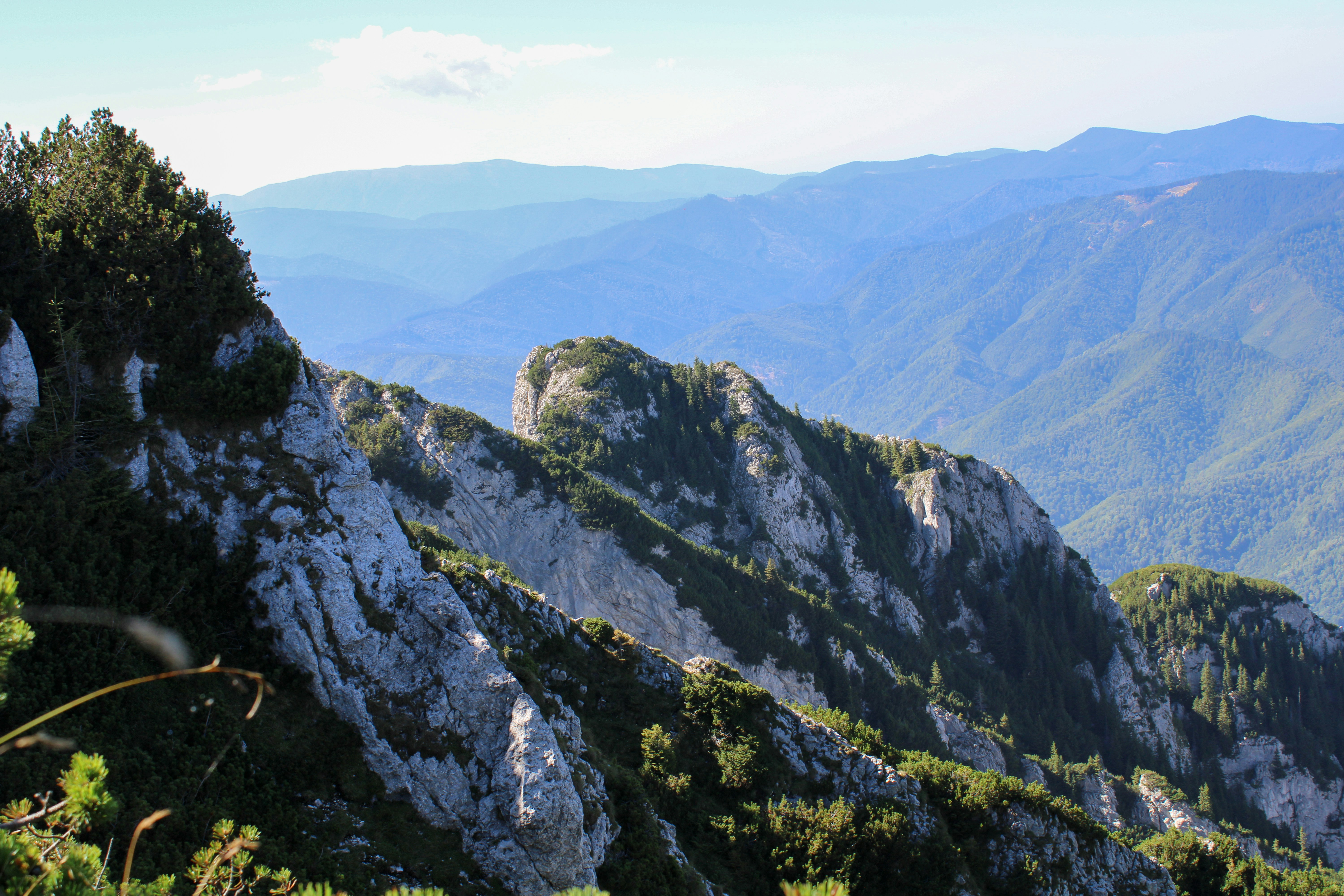 Photo by davidpupaza