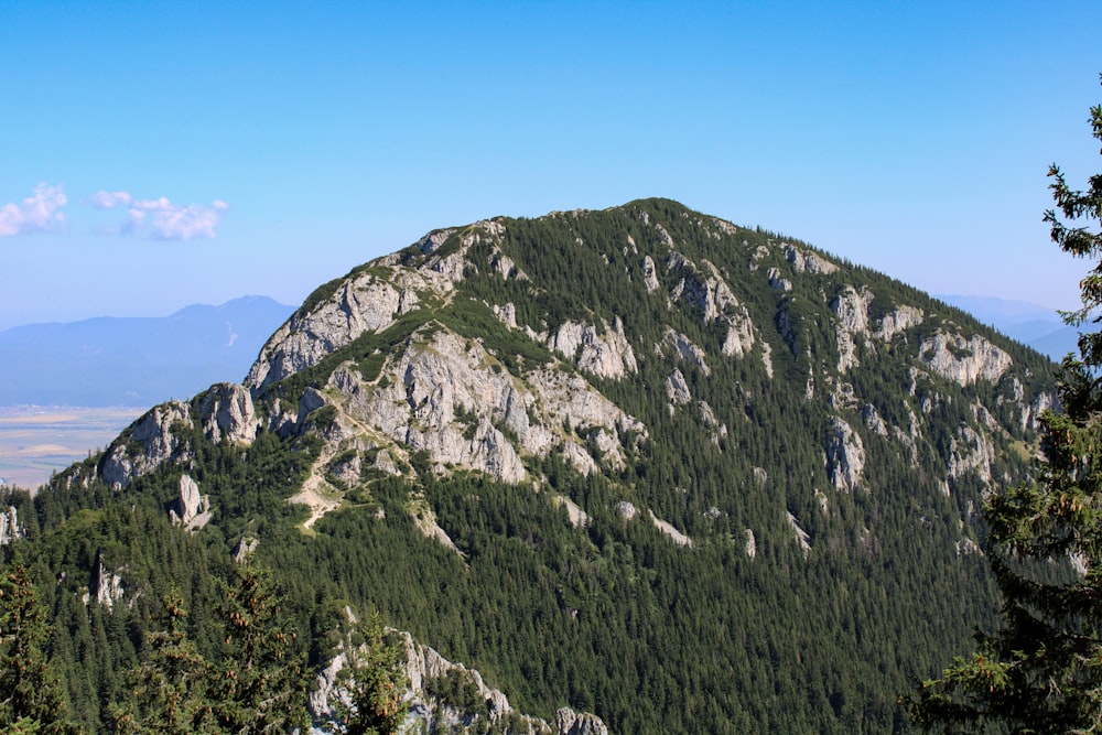 a view of a mountain with trees and mountains in the background