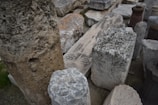 A collection of ancient stone artifacts, including blocks and columns, some with carvings. The stones vary in color and texture, arranged randomly on a concrete surface. Among them, a stone slab features a floral or sun-like design.