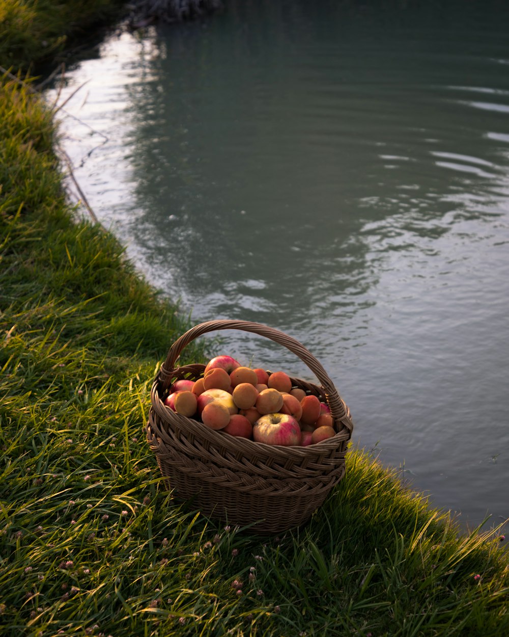 a basket of apples sitting on the grass next to a body of water