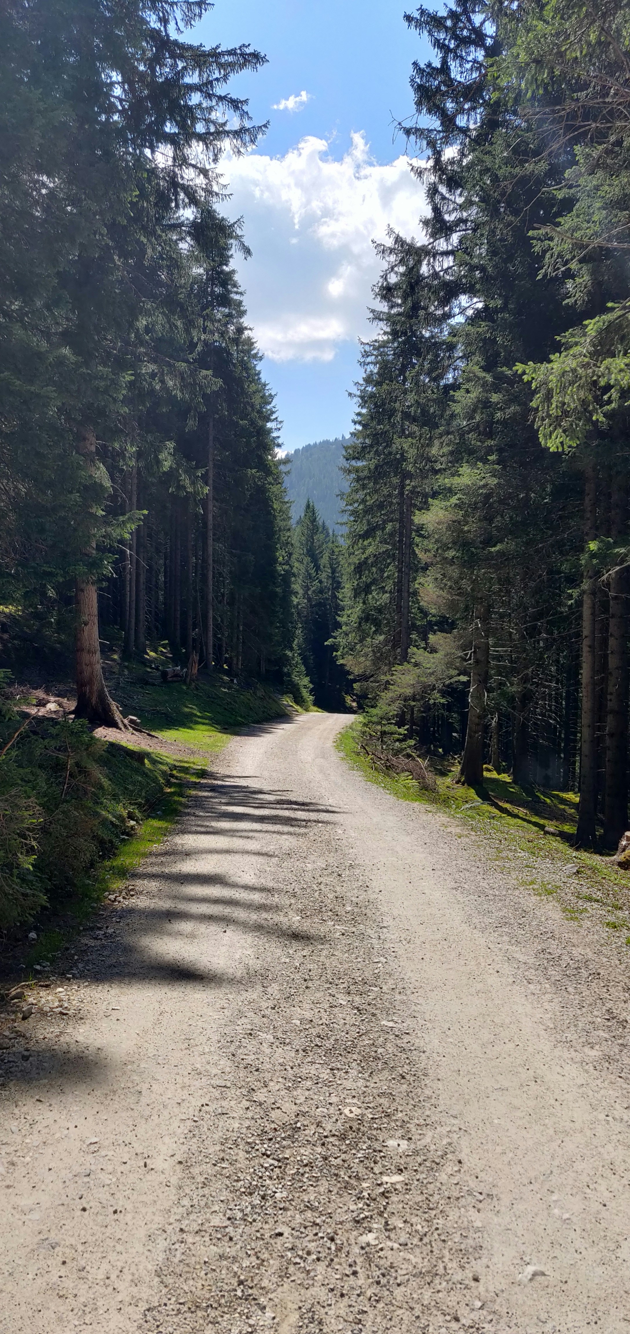 Photo by matemolnar88