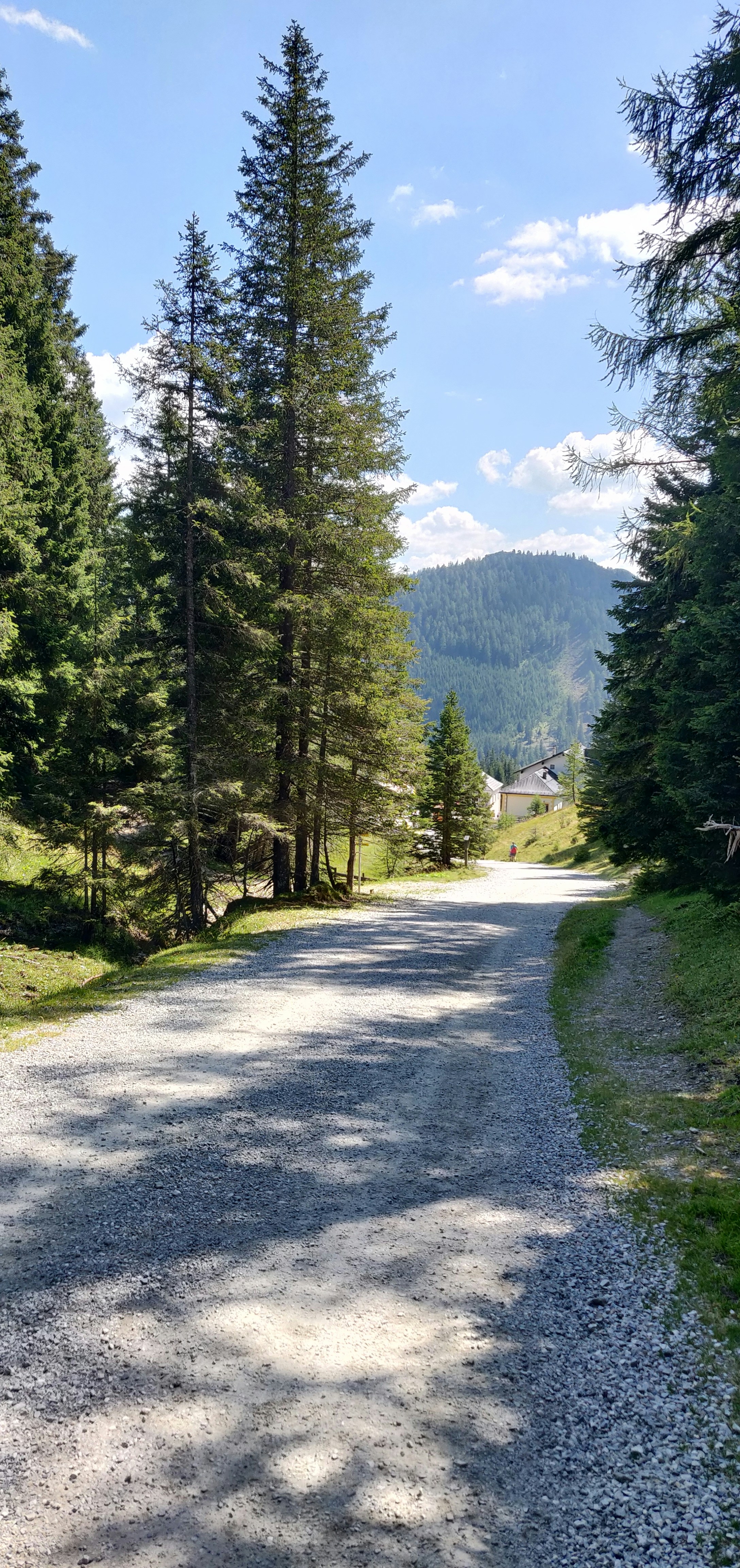 Photo by matemolnar88