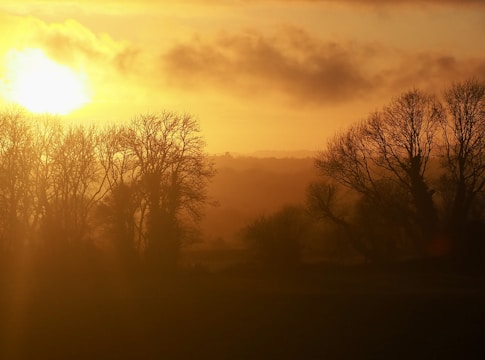 A cinematic frame showing a golden hour landscape with soft, natural lighting.