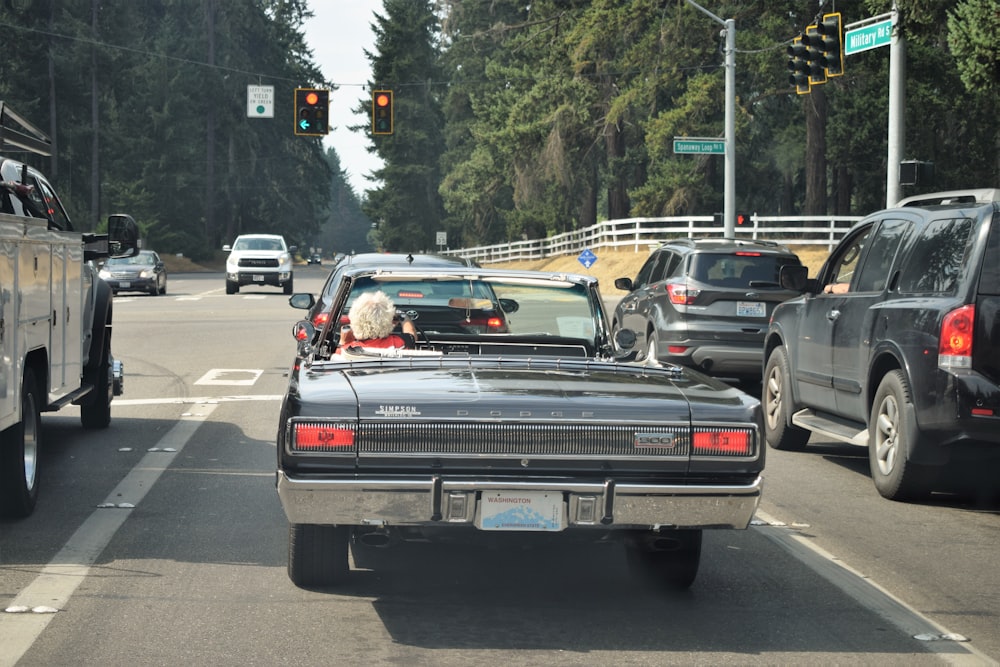 a dog in the back of a pick up truck