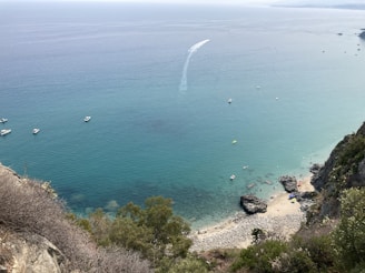 a body of water surrounded by trees and rocks