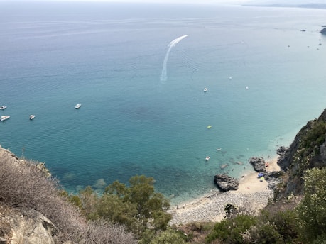 a body of water surrounded by trees and rocks
