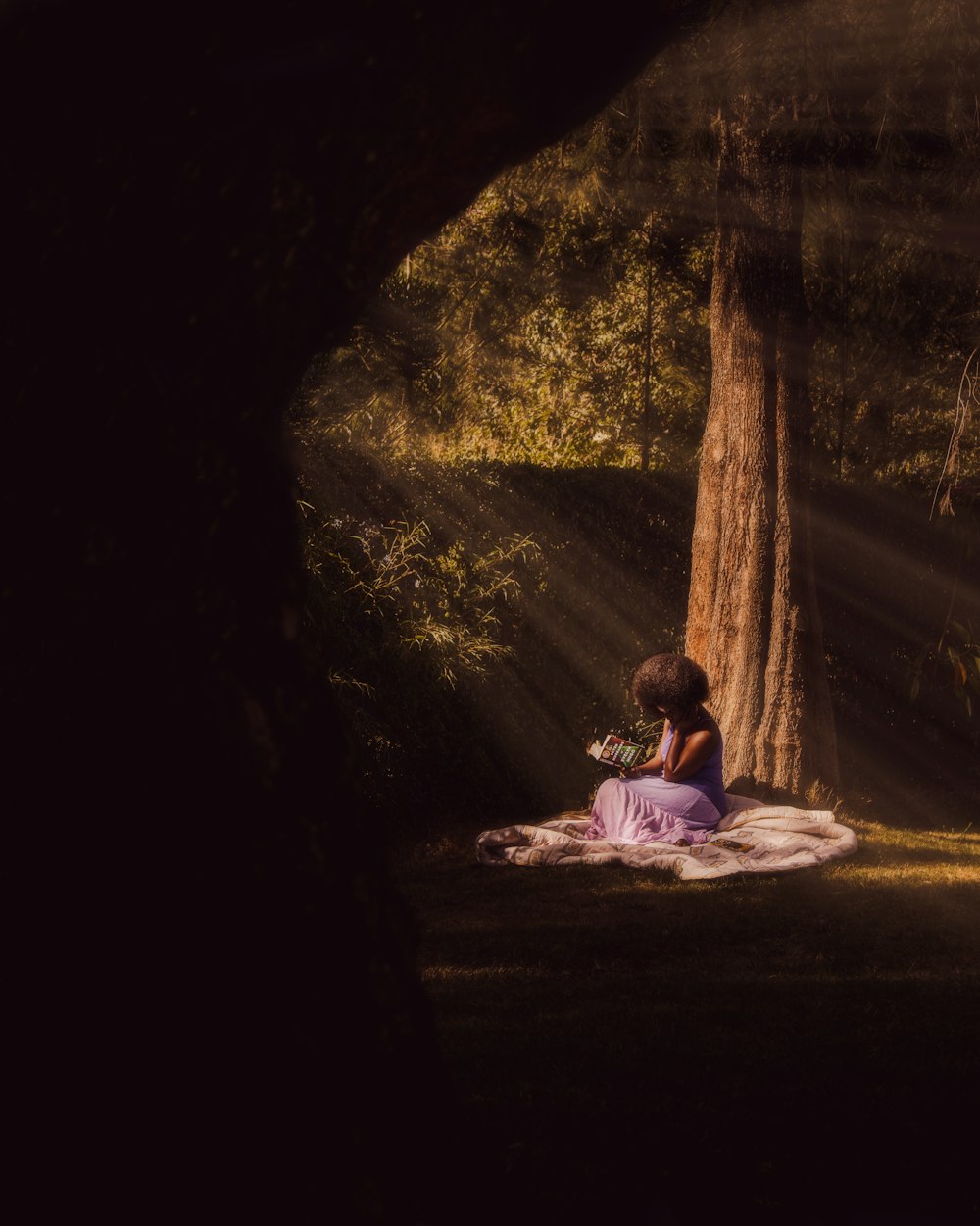 a woman sitting in the shade of a tree