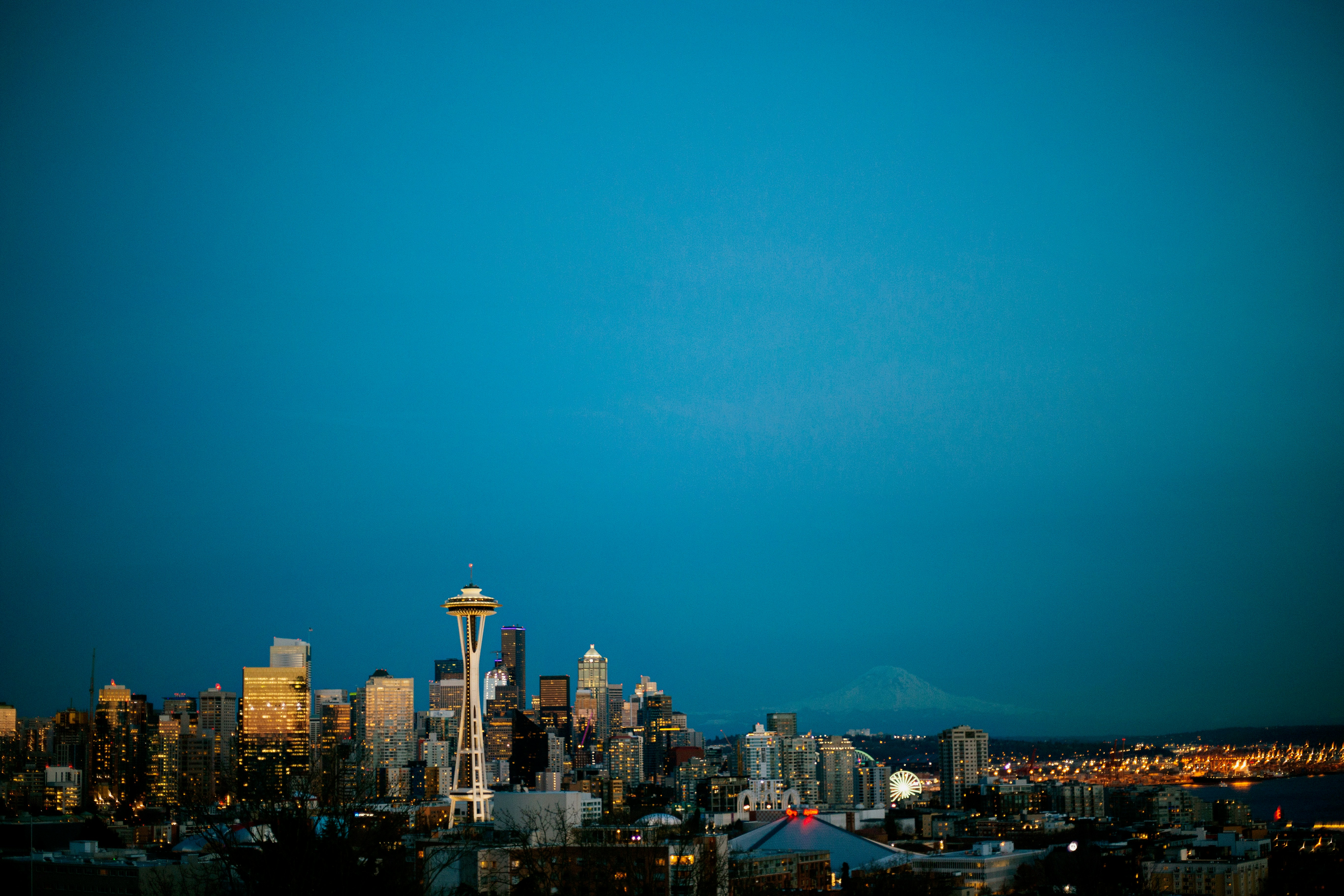 a view of the seattle skyline at night