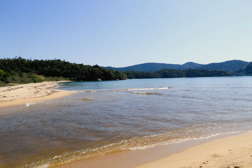 A tropical beach scene with gentle waves lapping against white sand and lush greenery in the background.