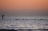 A paddleboarder is navigating calm waters during a serene sunset. A group of swimmers are in the water, accompanied by floating markers. The sky exhibits a gentle gradient of orange and pink hues as it transitions into twilight.