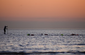 A paddleboarder is navigating calm waters during a serene sunset. A group of swimmers are in the water, accompanied by floating markers. The sky exhibits a gentle gradient of orange and pink hues as it transitions into twilight.