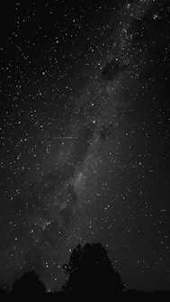 A star-filled night sky with the Milky Way galaxy prominently visible, creating a mesmerizing celestial display. Silhouettes of trees can be seen at the bottom, adding contrast to the bright stars.