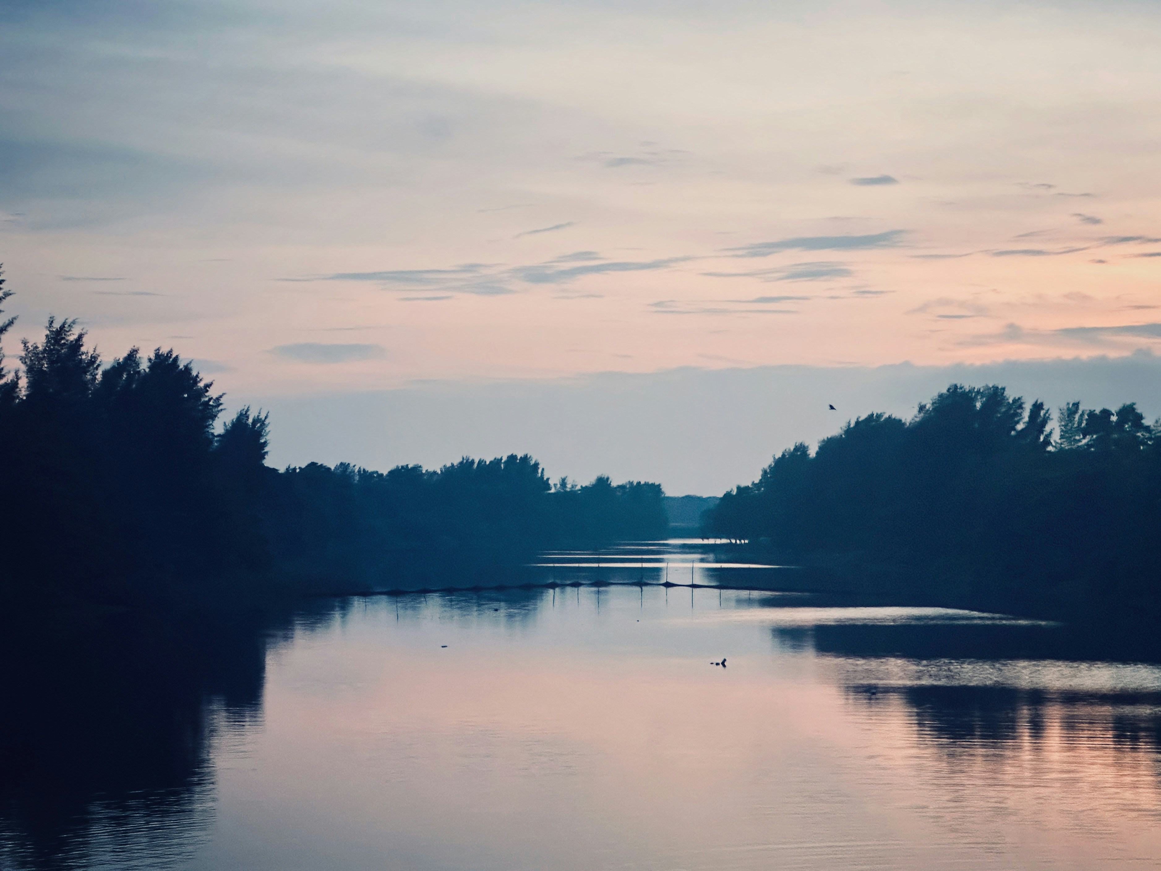 Photo by nazmul_rizvi