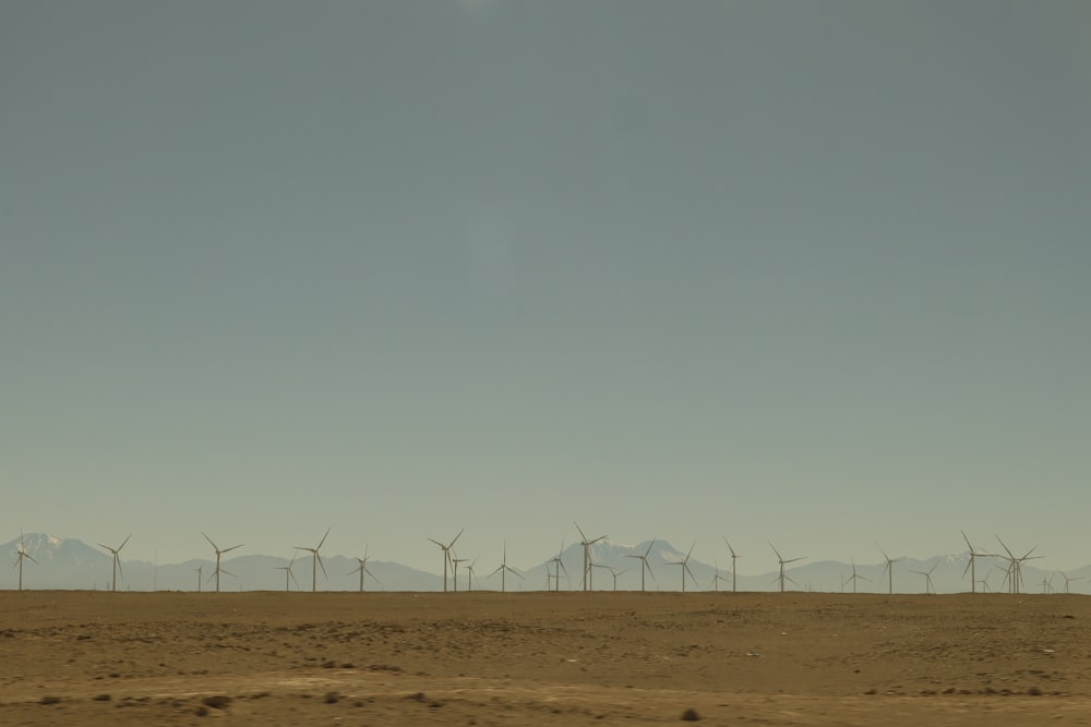 Un grupo de molinos de viento en un desierto con montañas al fondo