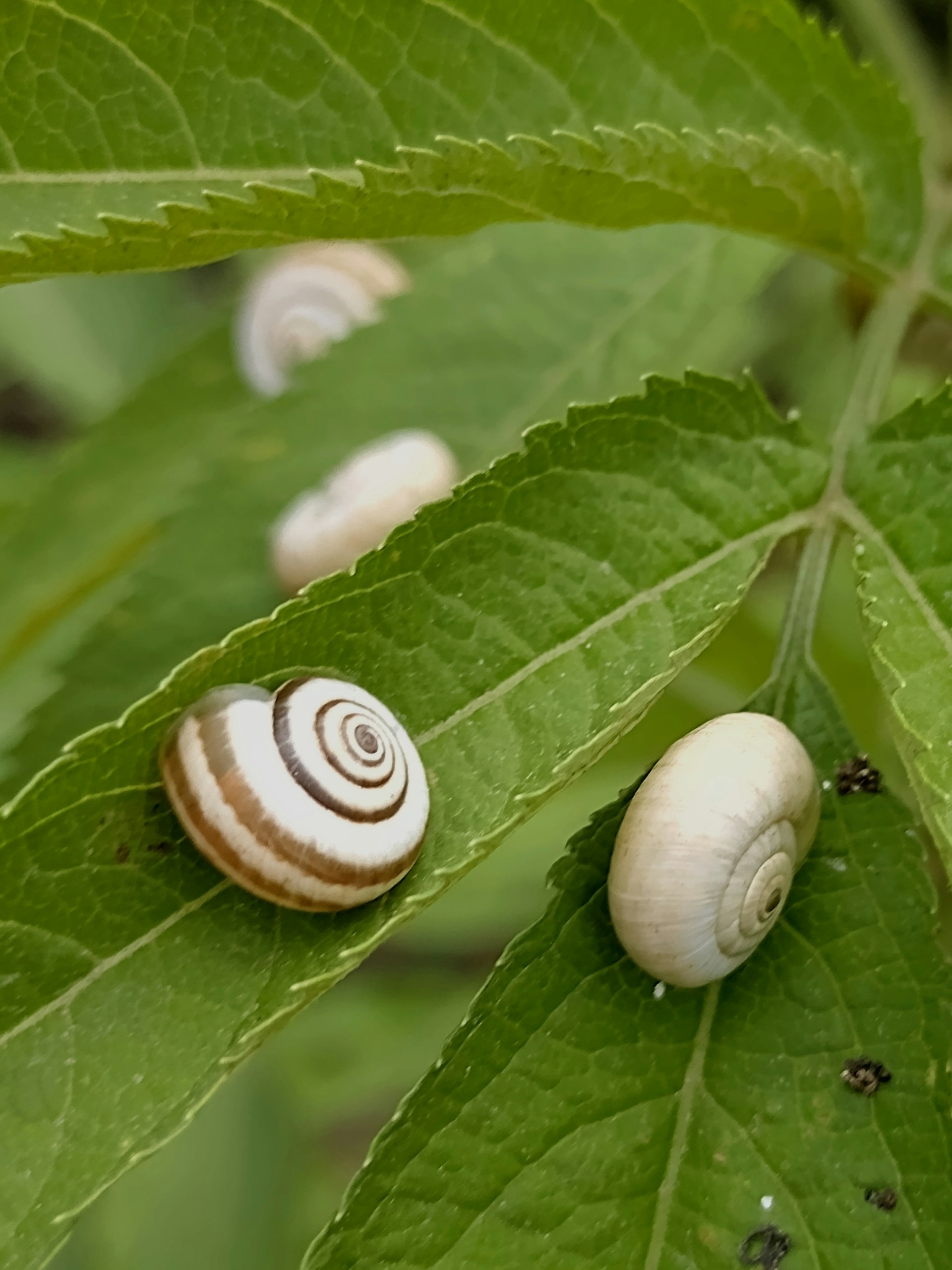 woman wearing yellow long-sleeved dress under white clouds and blue sky during daytime