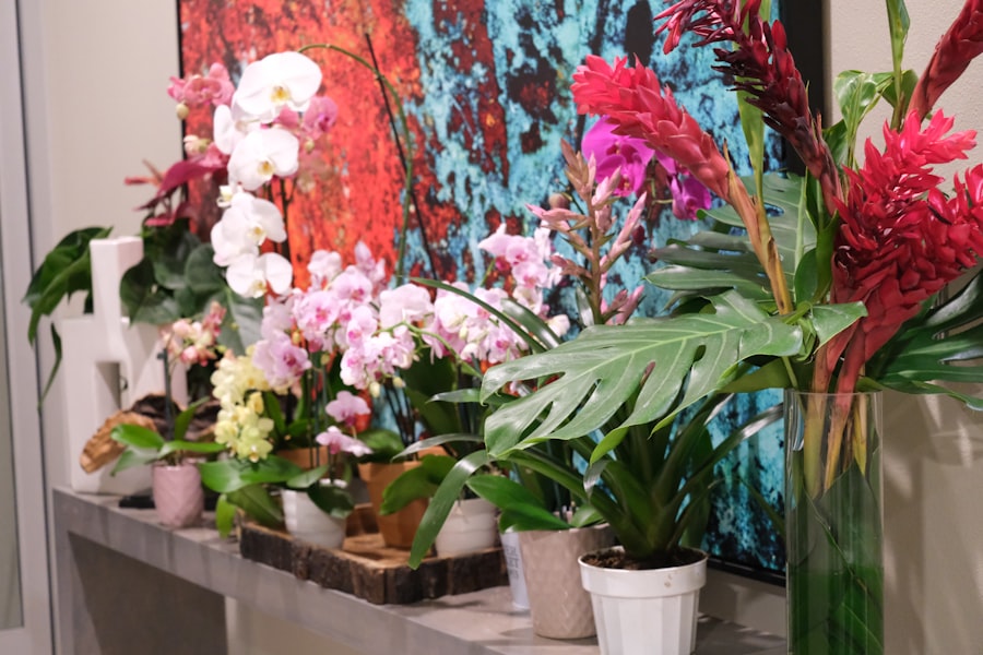 清邁花節蘭花競賽展品