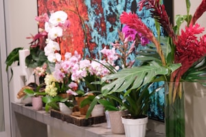 繁花入室