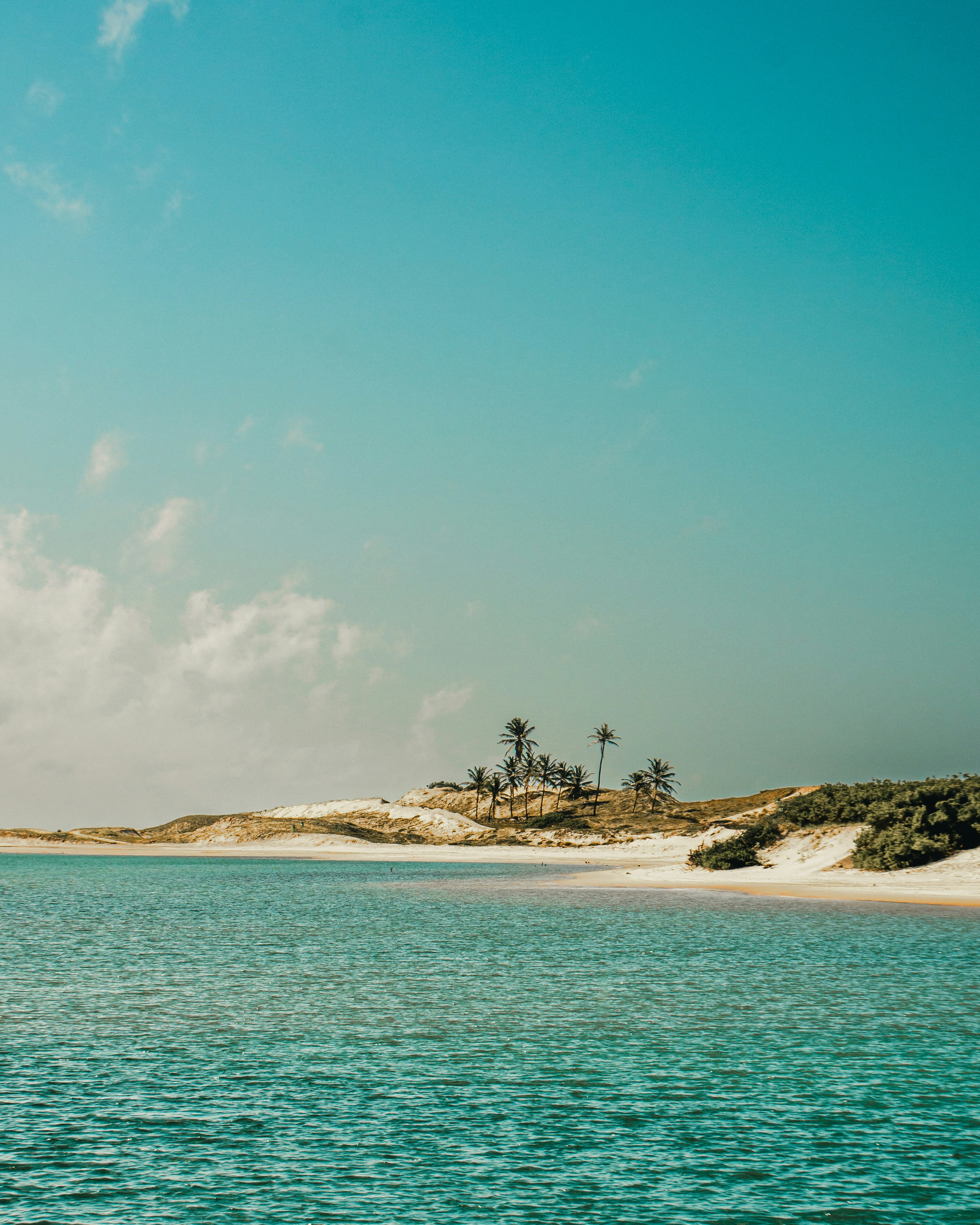 Photo by raffaalvess