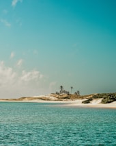 Peaceful beach view in Da Nang with turquoise water and palm trees.