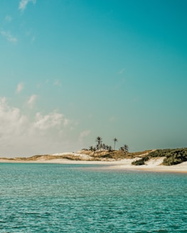 Peaceful beach view in Da Nang with turquoise water and palm trees.