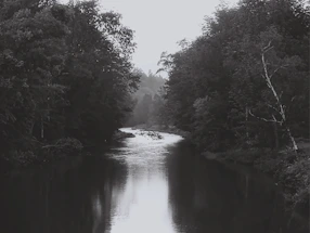 A serene image of a calm river flowing through a lush forest at dawn, symbolizing peaceful communication.