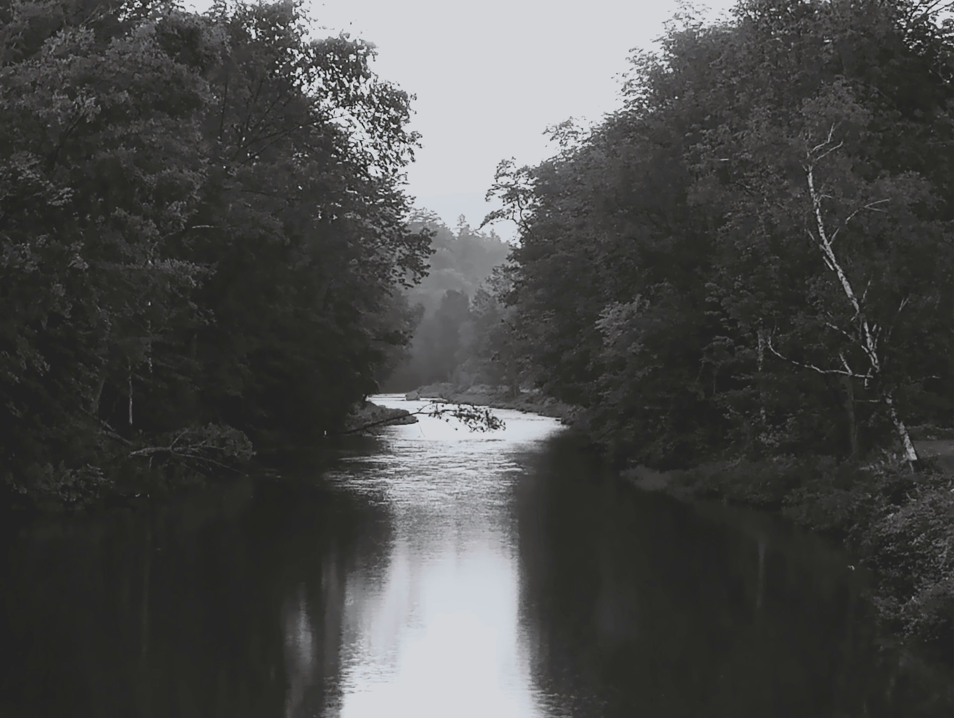 woman wearing yellow long-sleeved dress under white clouds and blue sky during daytime