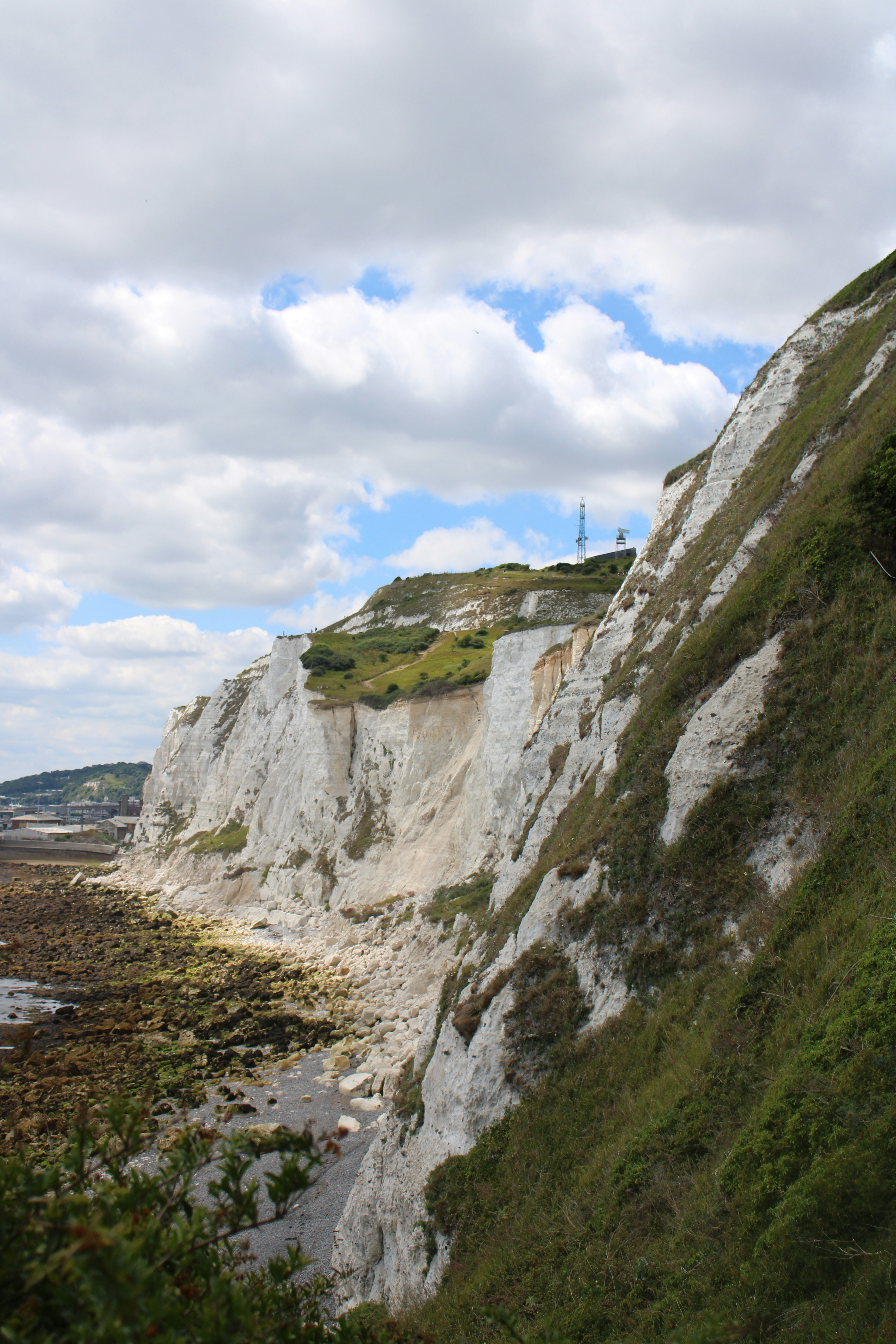 Photo by some_thijing