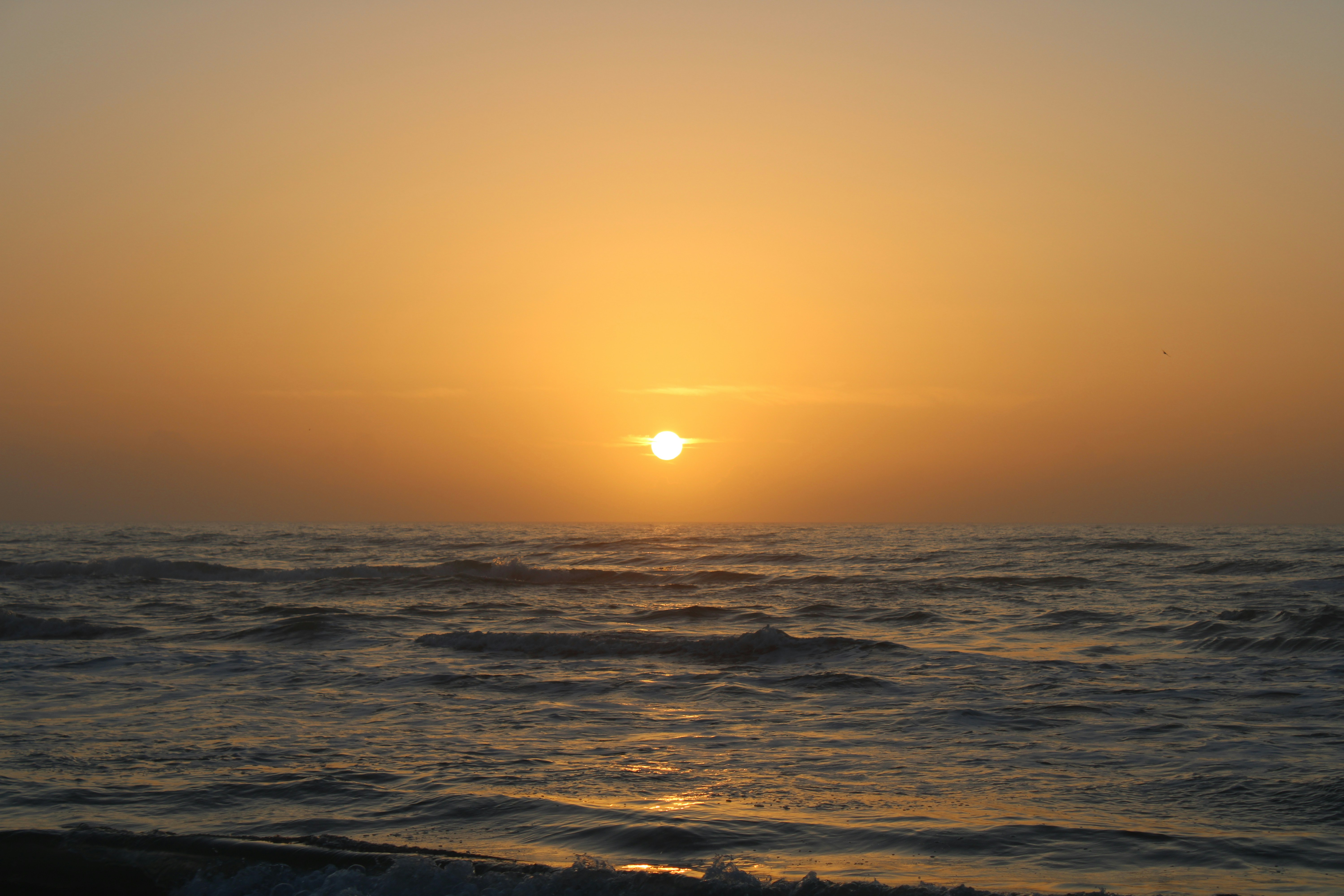 Photo by some_thijing