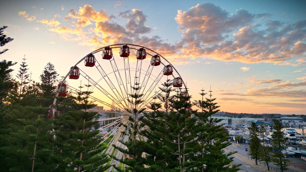 a ferris wheel sitting next to a forest filled with trees