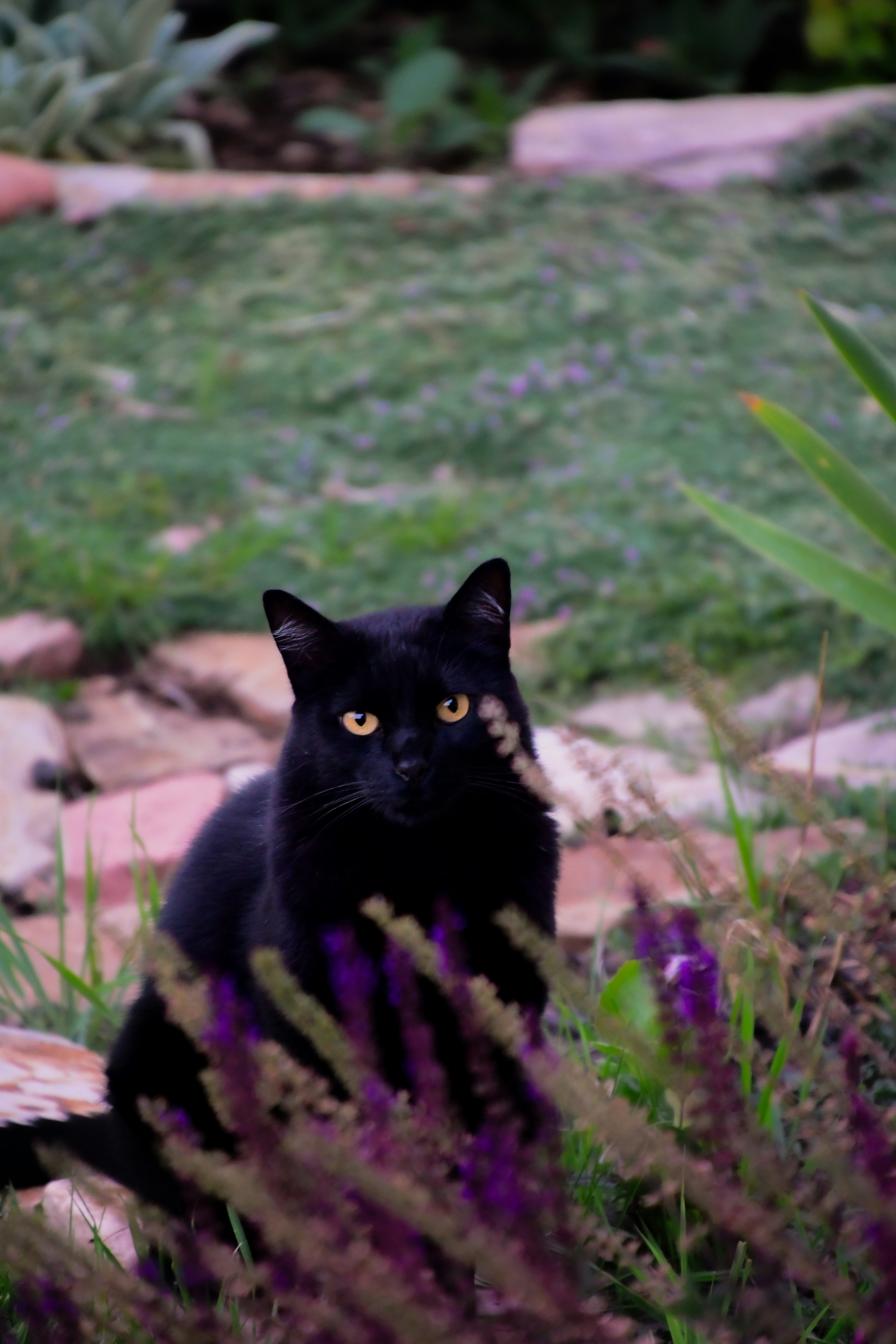 Photo by tory_hoffman