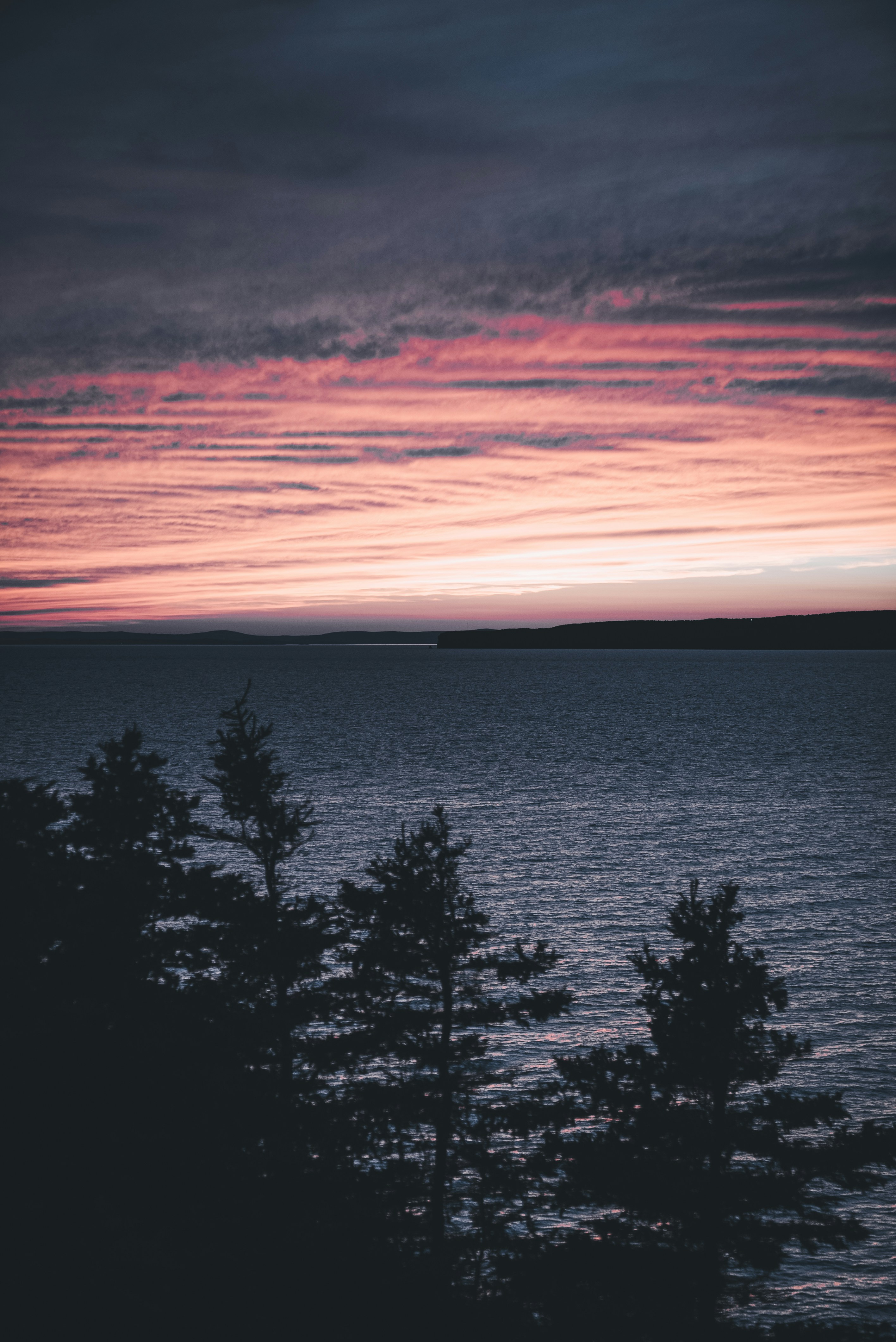 Photo by introspectivedsgn