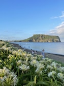 A lush landscape features vibrant green foliage and white flowers in the foreground. People are walking along a sandy beach, with two individuals carrying fishing nets. A large, rocky island rises from the still blue sea, under a mostly clear sky with a few fluffy clouds.