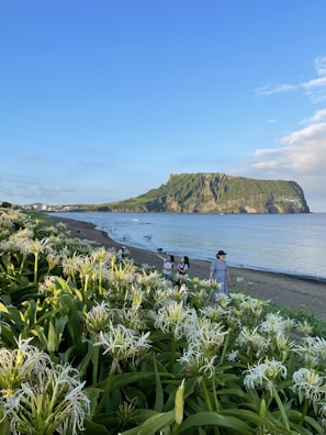 A lush landscape features vibrant green foliage and white flowers in the foreground. People are walking along a sandy beach, with two individuals carrying fishing nets. A large, rocky island rises from the still blue sea, under a mostly clear sky with a few fluffy clouds.