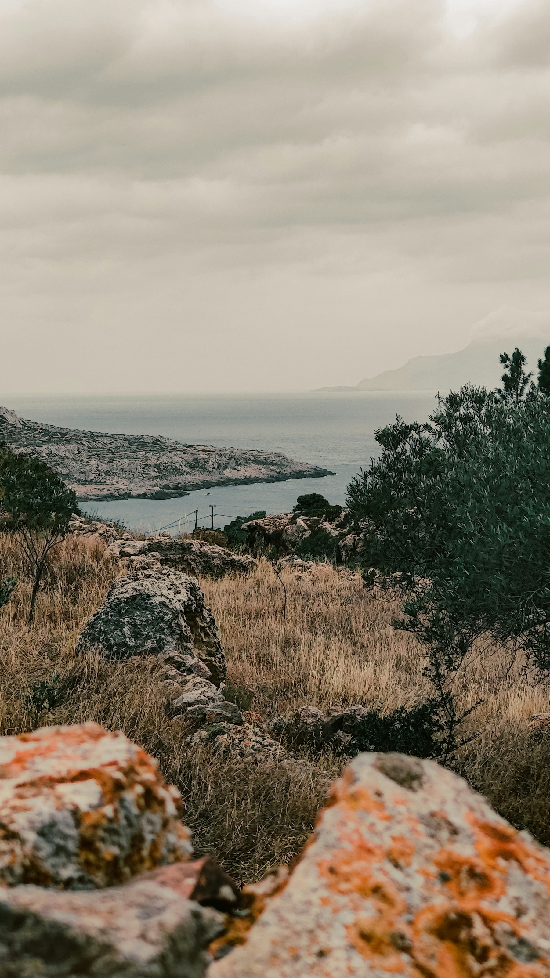 Photo by gingerboyakakorbi1