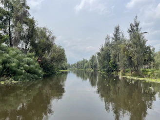 A calm river reflecting soft gray skies, surrounded by quiet trees.