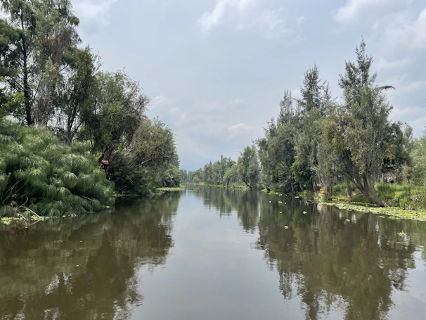 A calm river reflecting soft gray skies, surrounded by quiet trees.