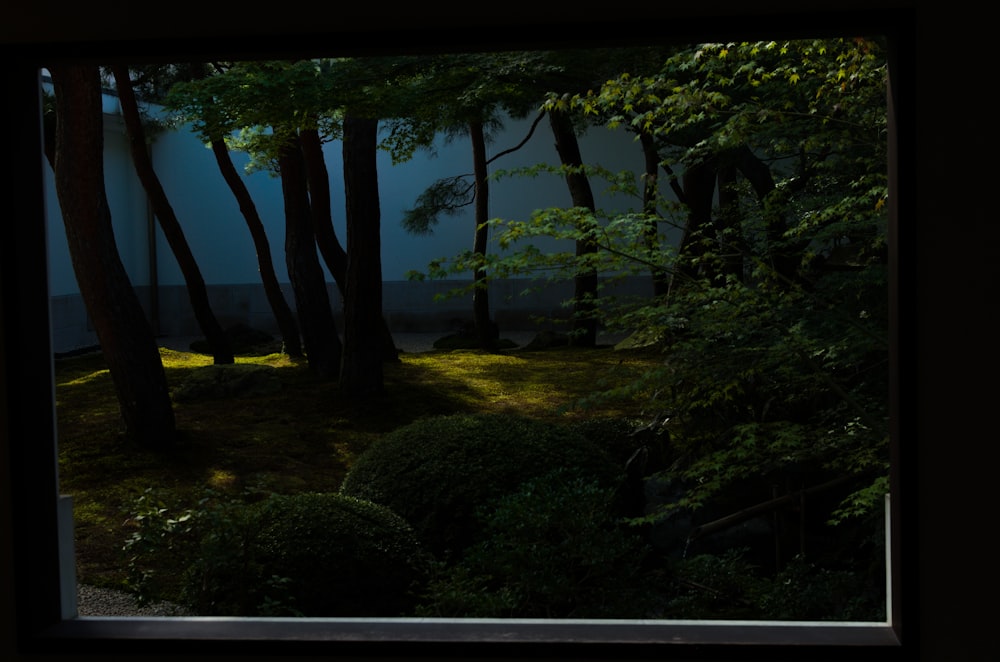 Blick auf einen Wald durch ein Fenster