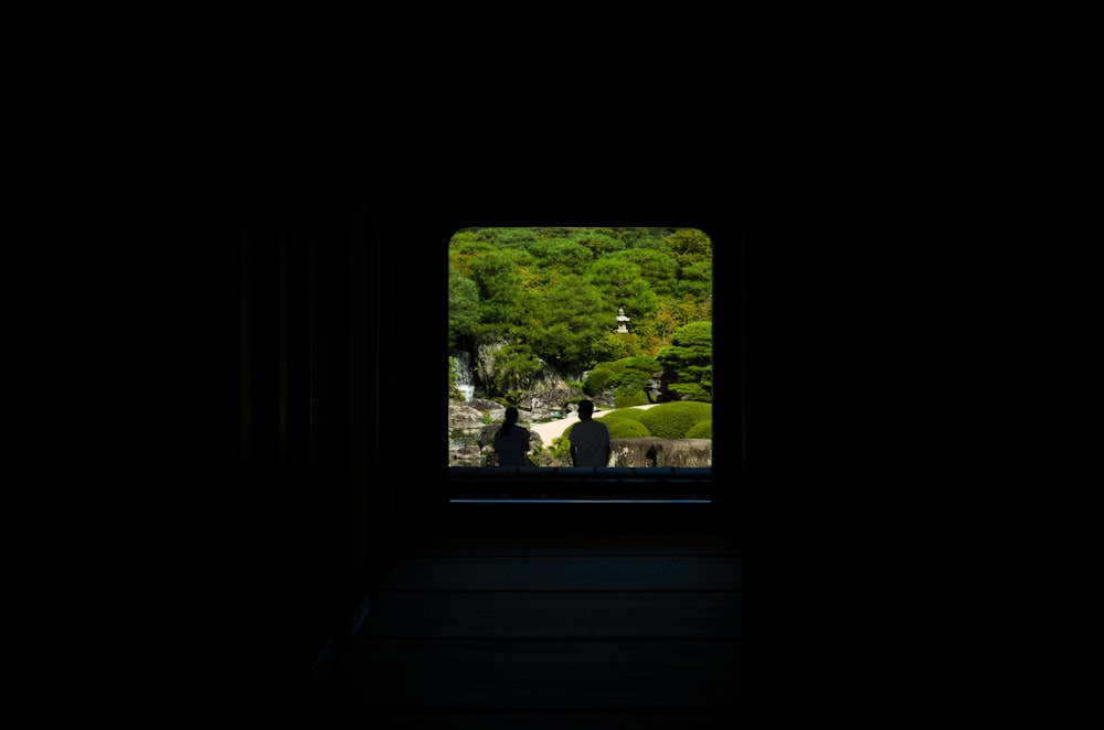 a dark room with a view of a forest