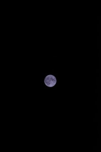 Moonball Toy