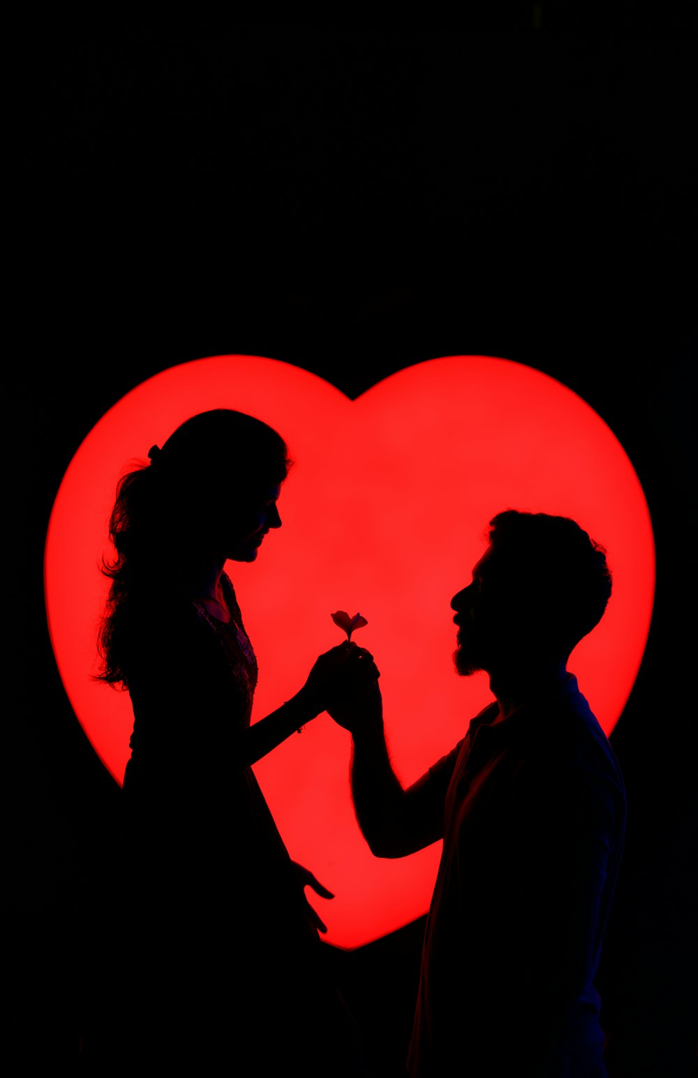 a man giving a woman a flower in front of a heart
