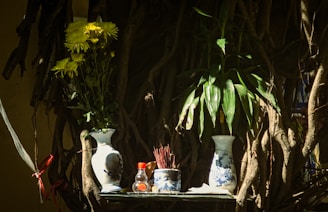 A peaceful outdoor space with plants and a small altar displaying symbolic objects and zodiac signs.
