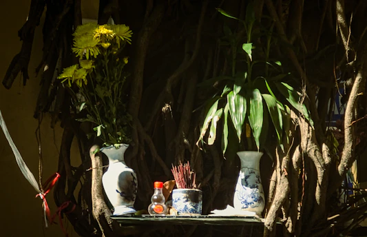 A quiet, sunlit corner of Bird's Nest Zendo with a simple wooden altar and a single blooming lotus flower.