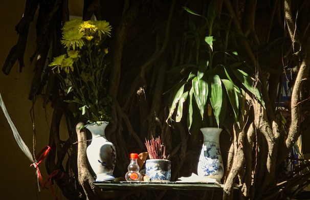 A peaceful outdoor space with plants and a small altar displaying symbolic objects and zodiac signs.