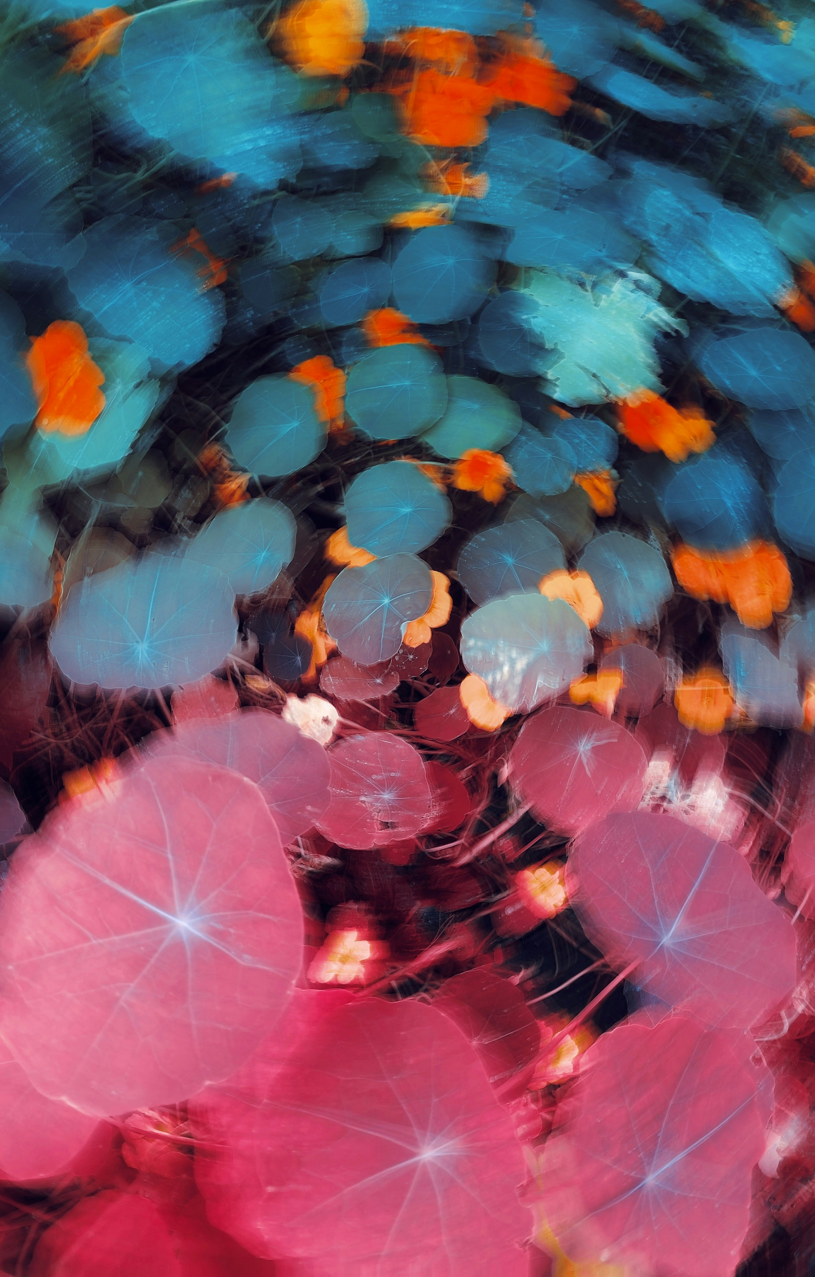 Photo by eugene_golovesov