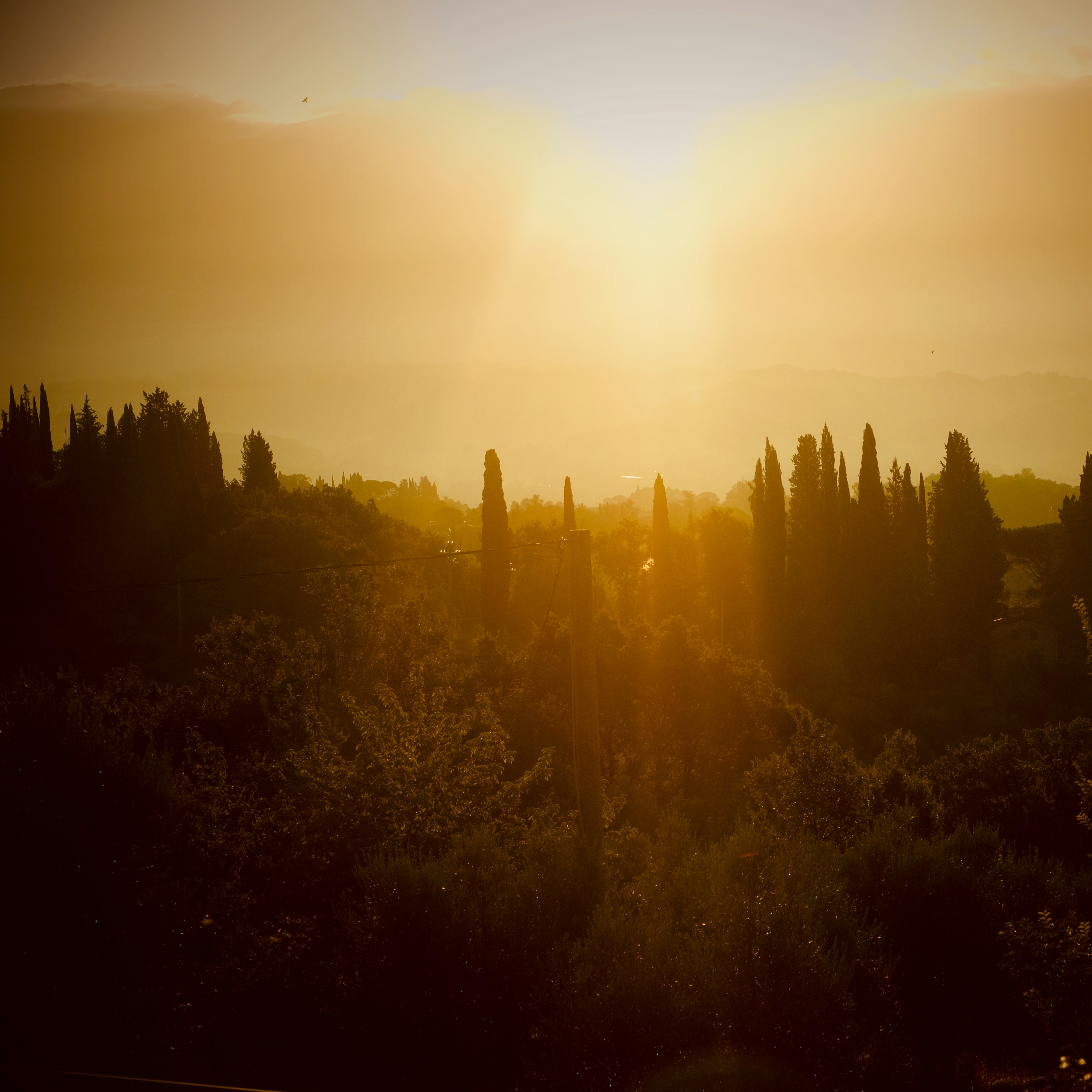 the sun is setting over the trees and hills