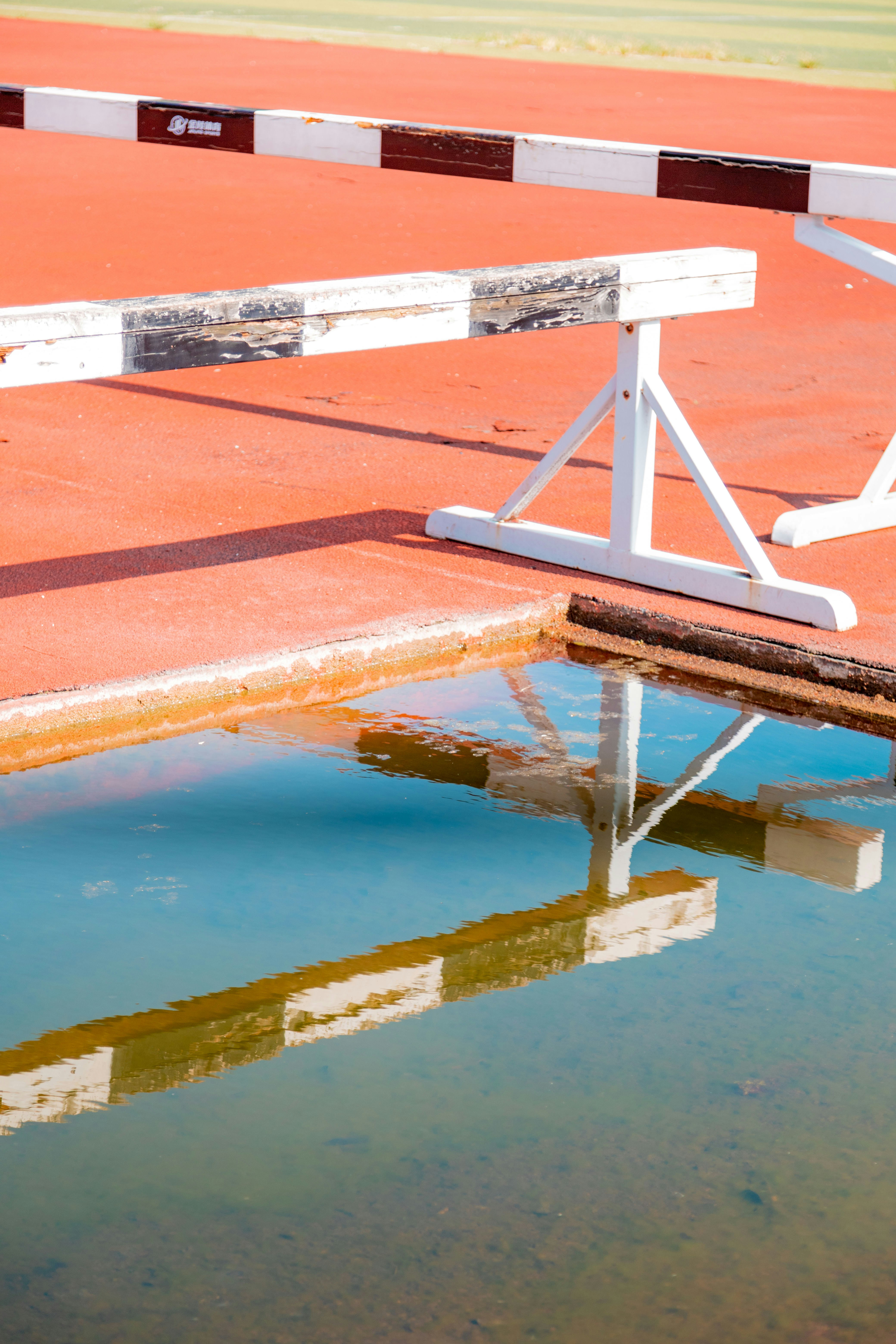 Photo by yokonoito0512